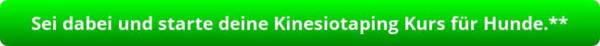 button_sei-dabei-und-starte-deine-kinesiotaping-kurs-fuer-hunde