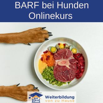 BARF bei Hunden Onlinekurs - Vorteile Anleitung und Angebote