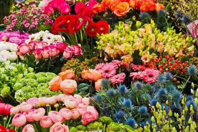 Finanzierung der Floristik Ausbildung - Blumen im Blumenladen